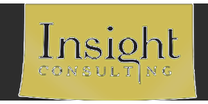 insight_consulting_transparent